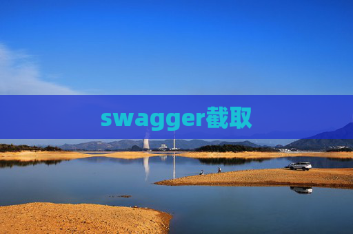 swagger截取